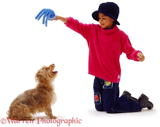 Girl with toy & dog, white background