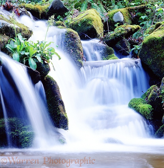 Little waterfall 3D R.  Tennessee, USA