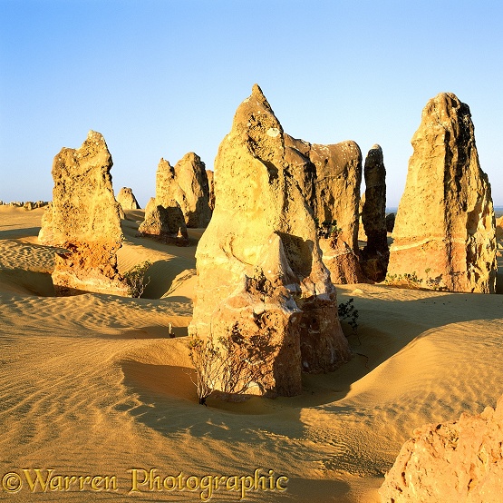 Pinnacles 3D 1 R.  Western Australia