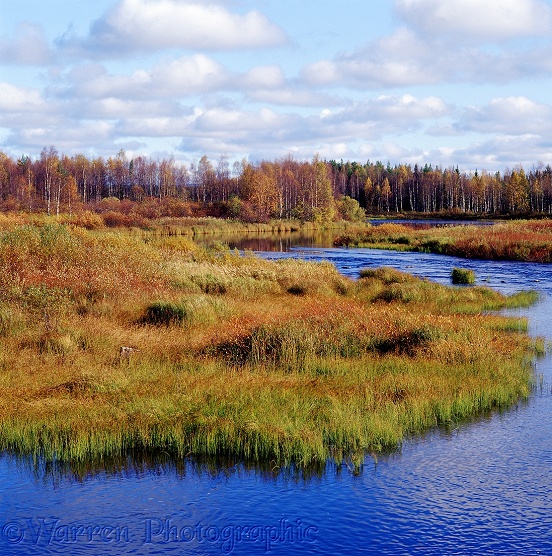 Finland river scene