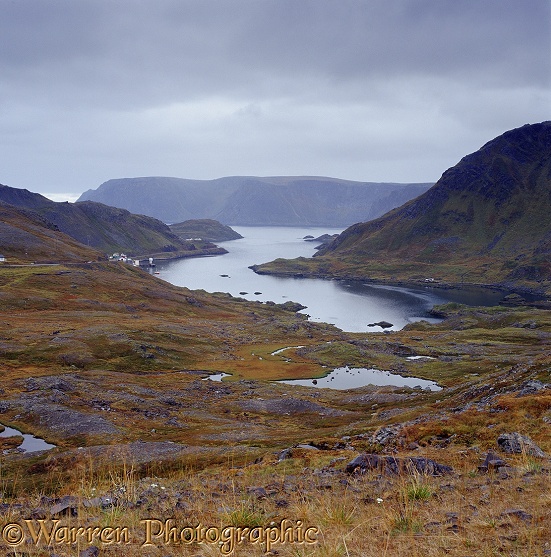 Bleak scenery in north Norway