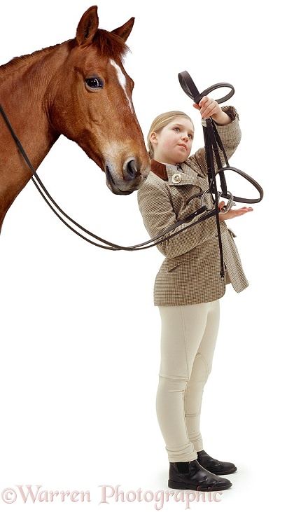Emily (11) about to put bridle on Dolly, white background