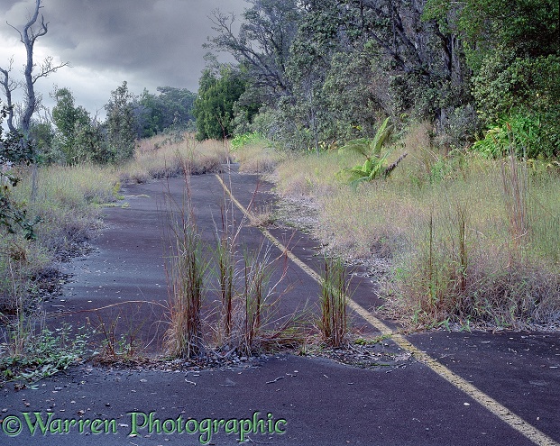 Disused road.  Hawaii
