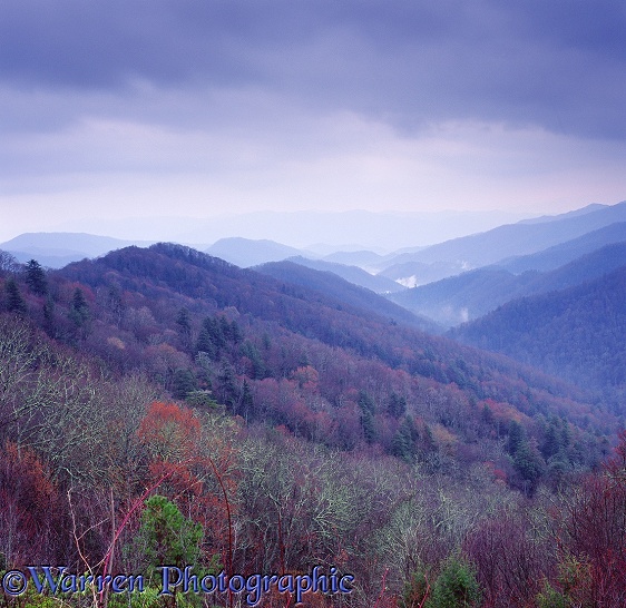 Great Smoky Mountains.  Tennessee, USA