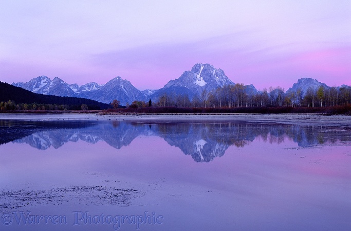 Grand Teton mountains reflected in a still lake at dawn.  Wyoming, USA