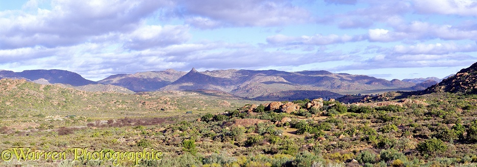 Kamieskroon view.  South Africa