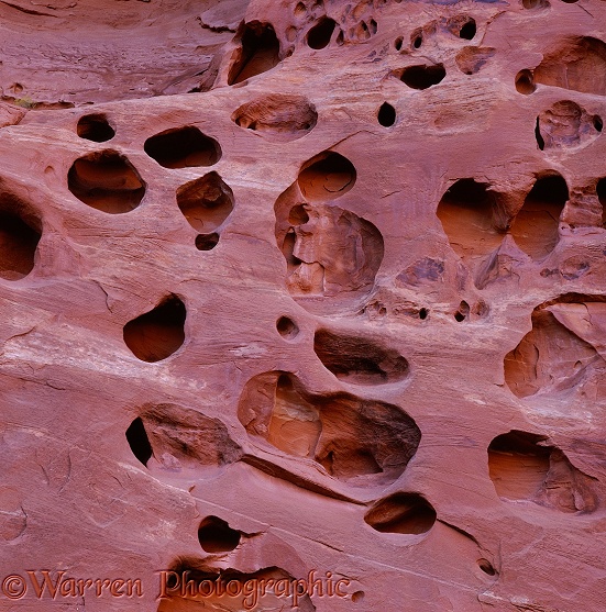 Sandstone rock with holes.  Utah, USA