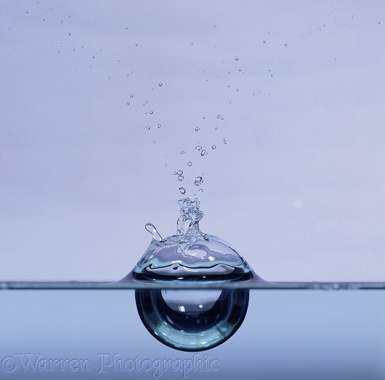 A large drop falling onto the water surface creates a hemispherical depression beneath, with a thin film of water forming a bubble above