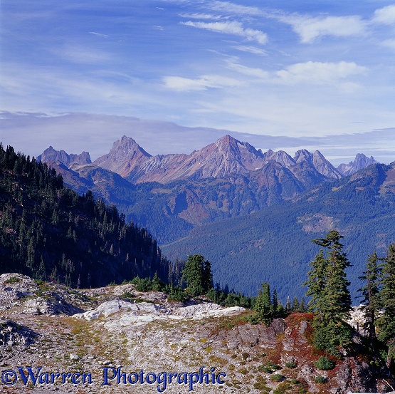 Alpine scene.  Washington State, USA