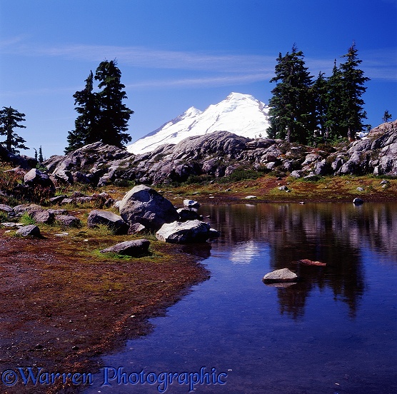 Mt. Baker and pond.  Washington State, USA