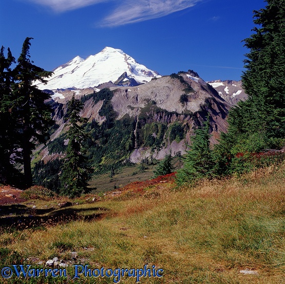 Mt. Baker.  Washington State, USA