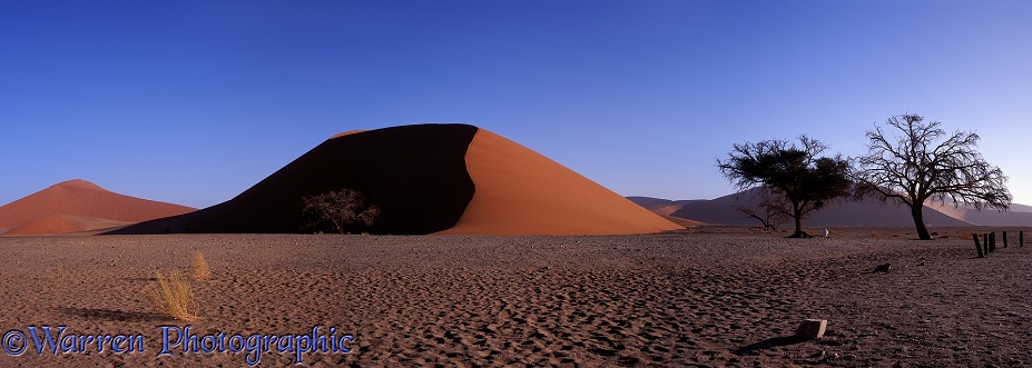 Sand dune.  Namibia