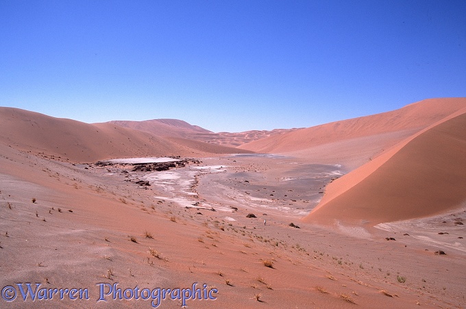 A vlei in the Namib Desert; note photographer in middle distance.  Africa