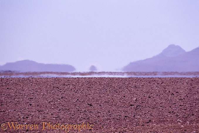Desert mirage.  Namibia