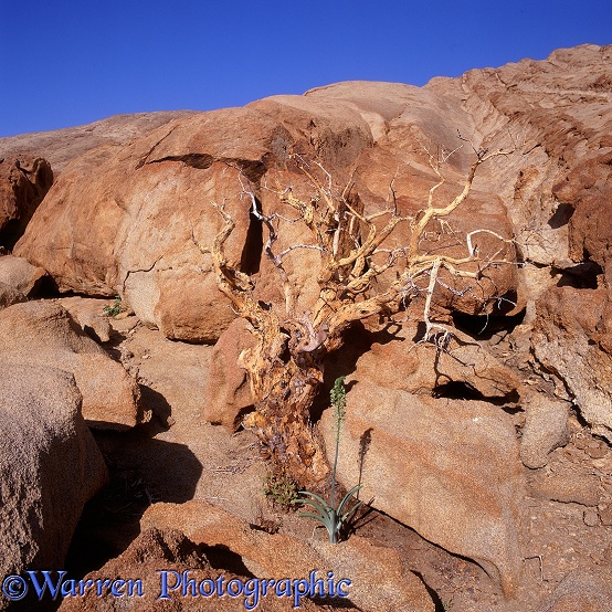 Granite boulders 2 3D R.  Namibia