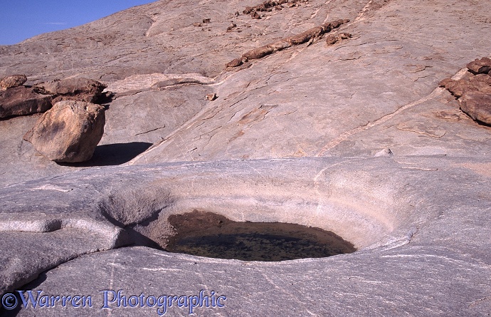 Rainwater pool in a natural hollow in a granite insulberg, Namib Desert.  Africa