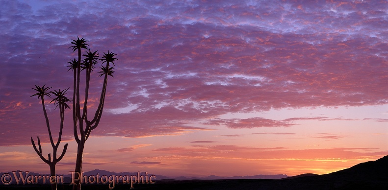 Bloedkoppie sunrise.  Namibia