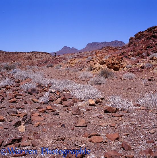 Rugged desert scenery.  Namibia