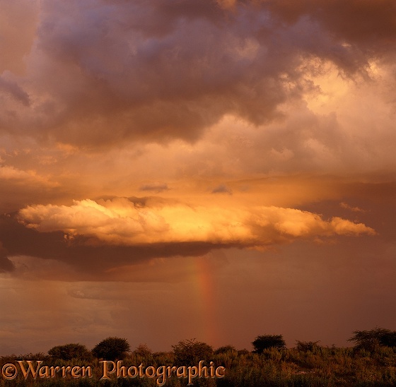 Thunder cloud at sunset.  Namibia