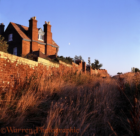 Whitenothe Cottages at sunset.  Dorset, England