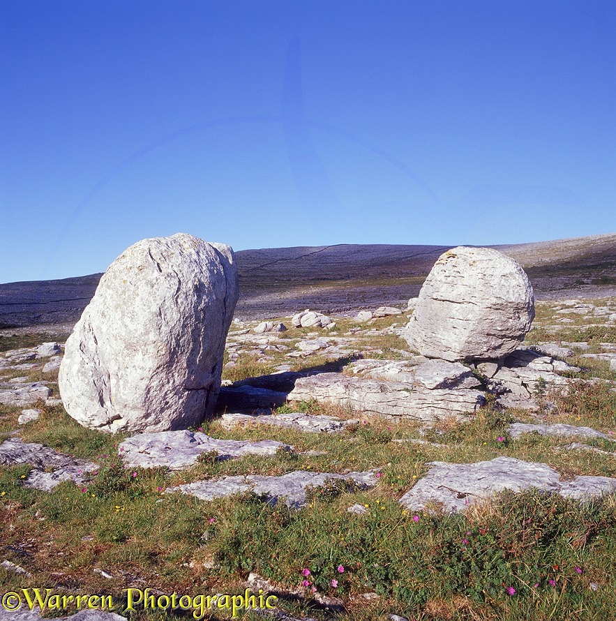 Limestone erratic boulders on limestone karst pavement.  The Burren, Ireland