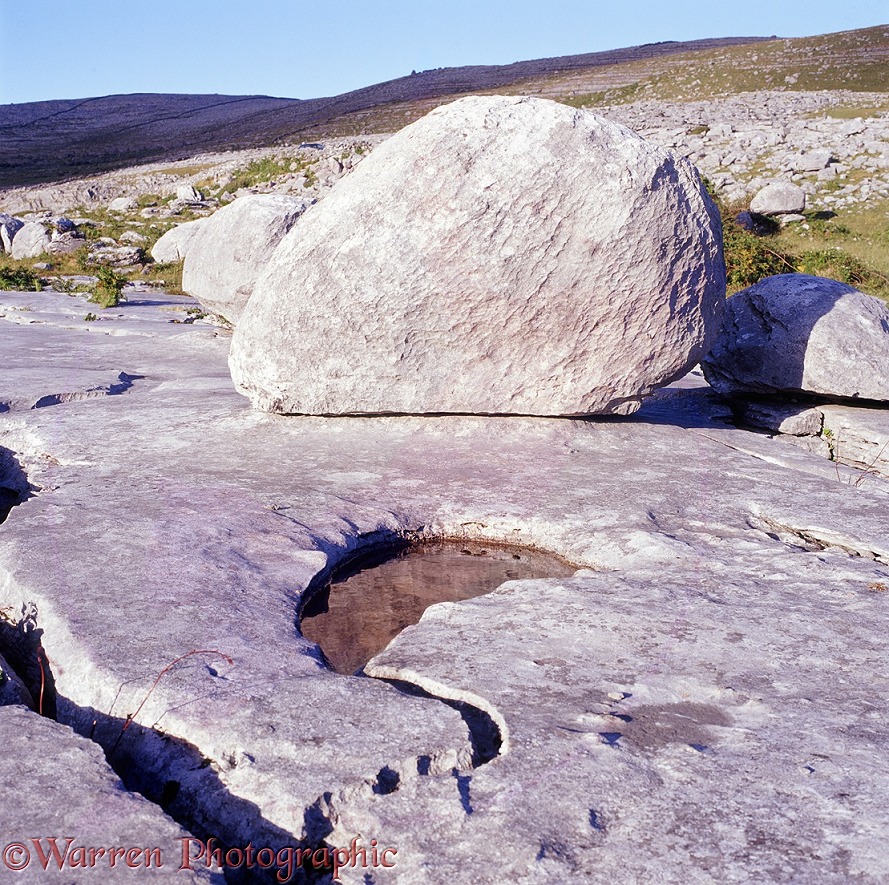 Limestone erratic boulder on limestone karst pavement.  The Burren, Ireland