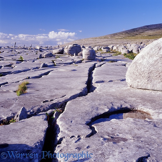 Limestone erratic boulders on limestone karst pavement.  The Burren, Ireland