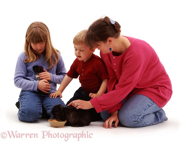 Sade, Joshua and Jane with their pet rabbit and Guinea pig, white background