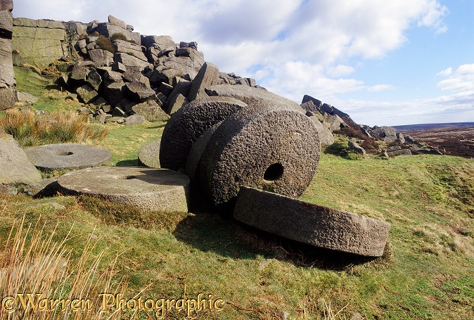 Abandoned millstones.  Peak District, England