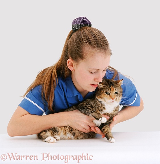Vet nurse laying down an injured cat, white background
