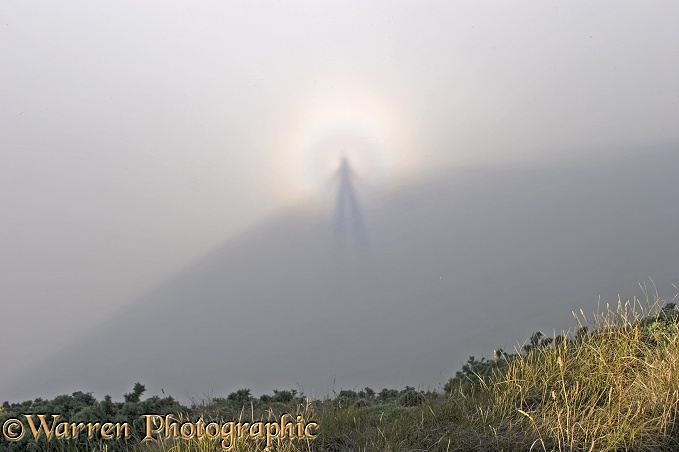 Brockenspectre - the shadow of the photographer on sea mist below a sheer cliff.  Dorset, England