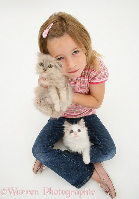 Madison with kittens, white background