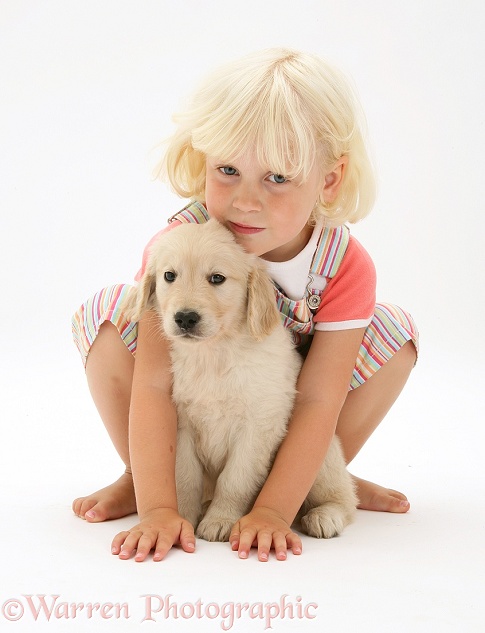 Siena with Golden Retriever pup, white background