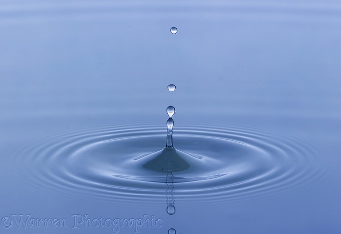 A water drop falling onto the surface of a pond throws up a spike of water which then collapses into a series of droplets