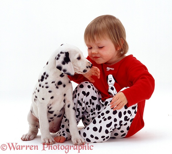 Giselle, 2 years old, with Dalmatian puppy, white background