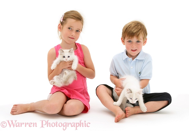 Madison and Jack with kittens, white background