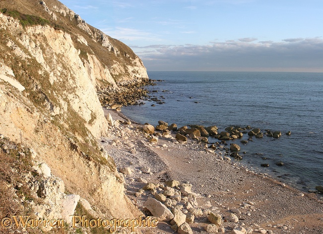 Whitenothe Beach.  Dorset, England