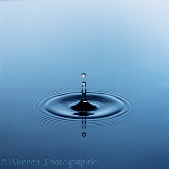 Water drop strikes the surface of a still pool
