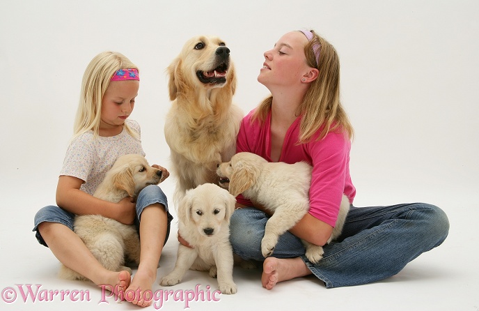 Girls with Golden Retriever and pups, white background