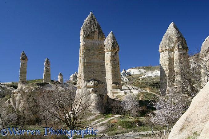 Fairy chimneys.  Kapadokia, Turkey