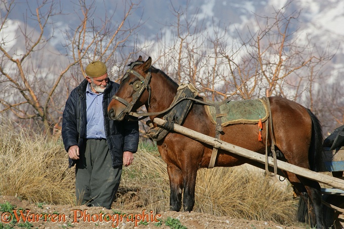 Man with horse.  Aladaglar Park, Turkey