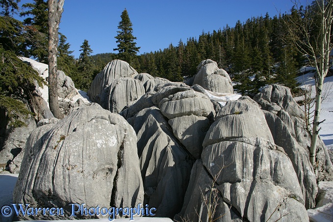 Sculpted limestone rocks.  Seydisehir, Turkey