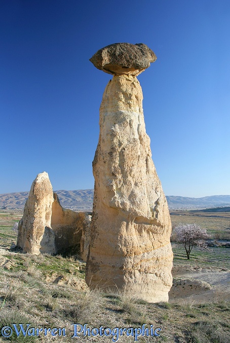 Fairy chimney.  Kapadokia, Turkey