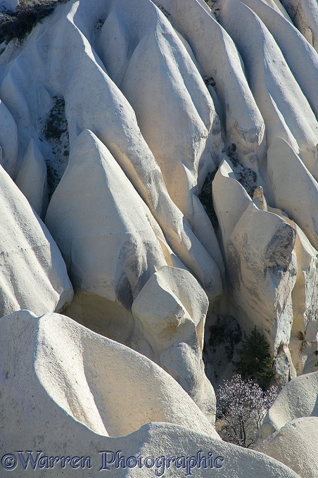 Eroded volcanic tuff.  Kapadokia, Turkey