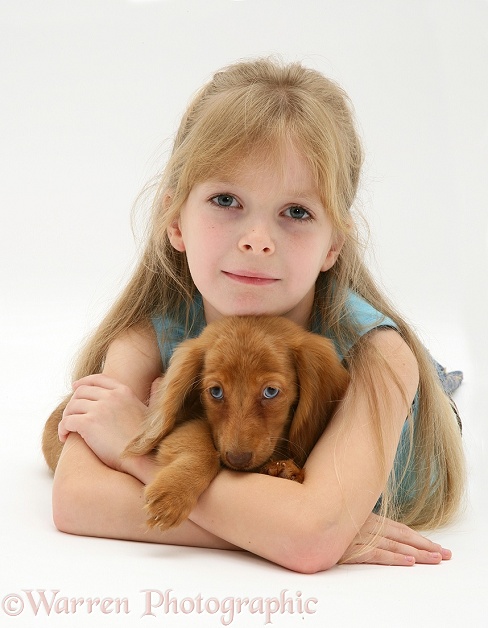 Shona (9) with her blue-eyed red Miniature Dachshund pup, white background