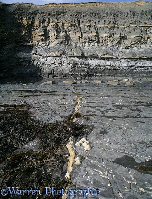 Fault line through shale rocks.  Kimmeridge, Dorset