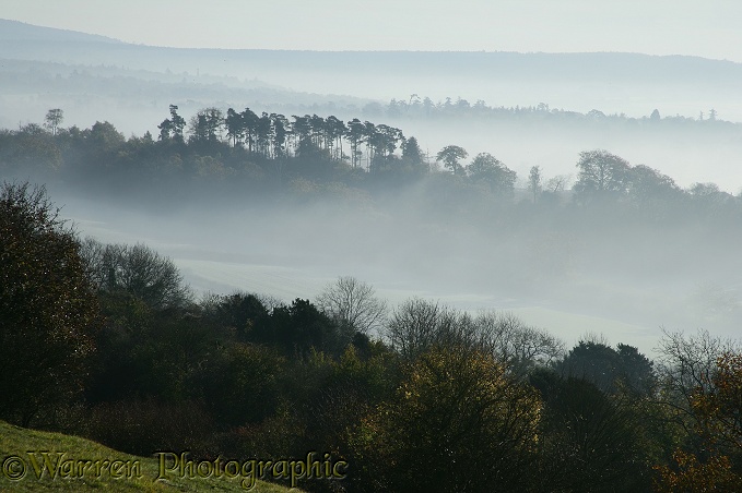 Early December morning in the heart of the Surrey Hills