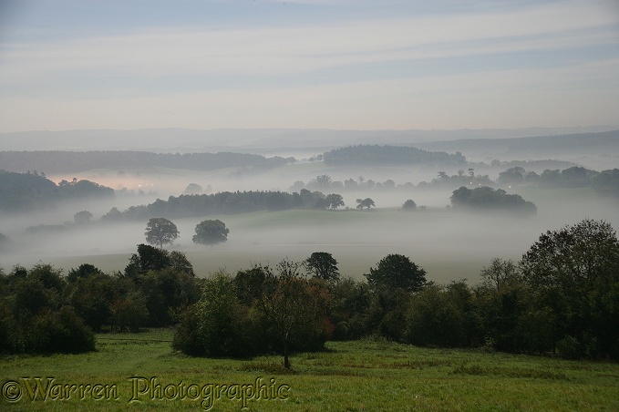 Misty valley by moonlight.  Surrey, England