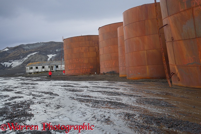 Rusting remains of an old whaling station.  Deception Island, Antarctica