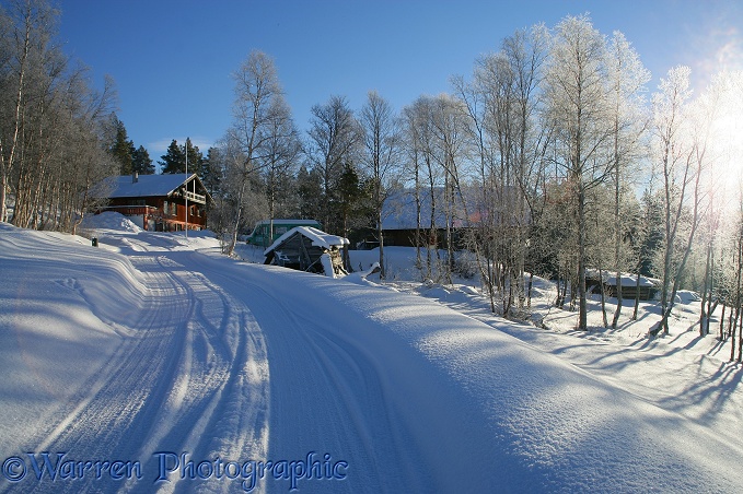 Snowy scene.  Geilo, Norway